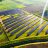 Projetos de Agronegócio